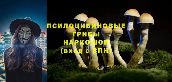 шишки Бугульма