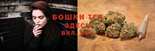 шишки Бугульма