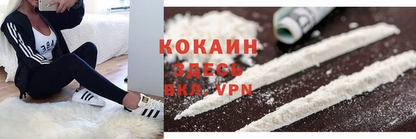 шишки Бугульма