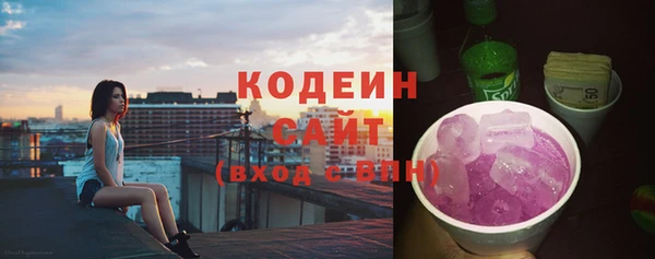 соль ск Бородино