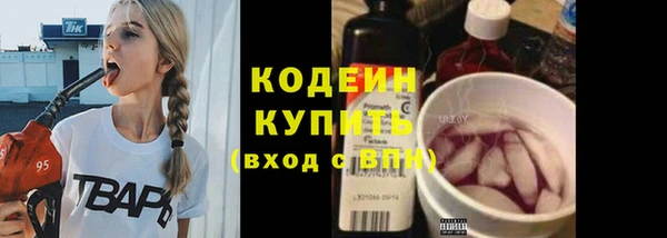 соль ск Бородино