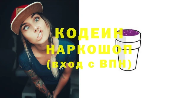 соль ск Бородино